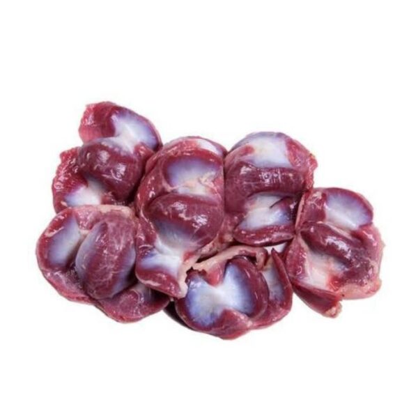 Gizzard