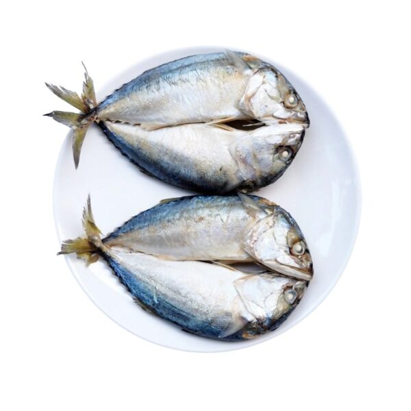 Mackerel Fish